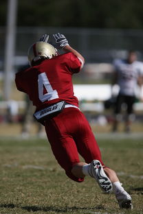 九游官网入口活动-击全运赛场｜跳水开赛首日，陈艺文林珊领衔广东队出战，陈艺文全运会跳水女子3米跳板夺金